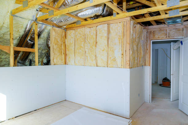 Best Specialized Insulation Services in Leavenworth, KS